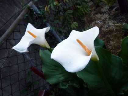 2011.7.3-2