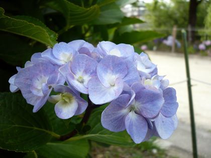 2012.2.9-2