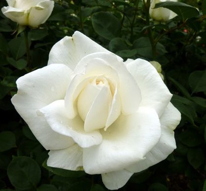 2012.5.6