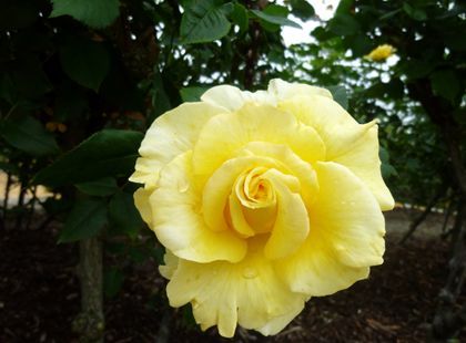 2012.5.18-2
