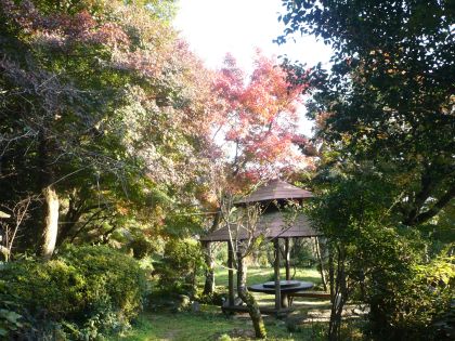 2010.11.19.紅葉