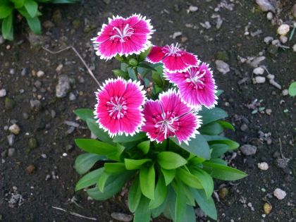 2011.10.20