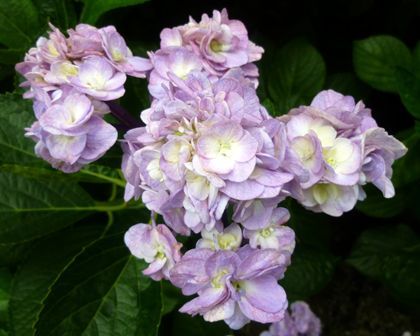 2012.7.3-2