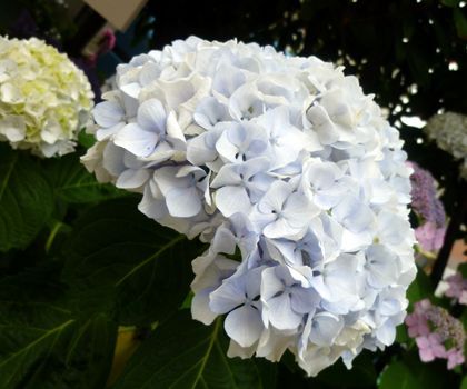 2012.6.20-2