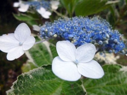 2011.6.30