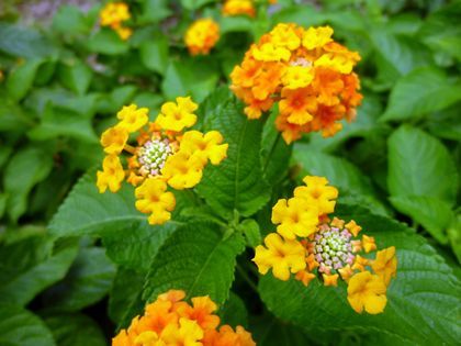 2011.8.29-2