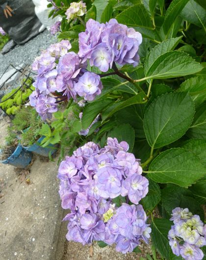 2012.7.11