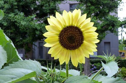 2012.7.18