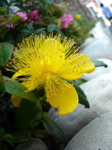 2011.3.20