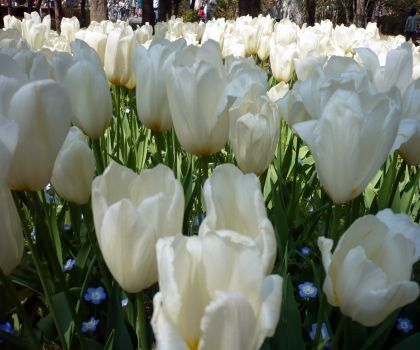 2011.4.24