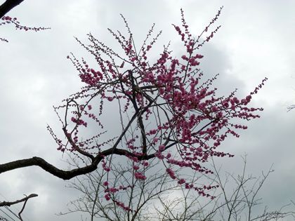 2012.3.3-2
