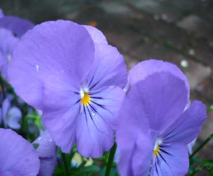 2008.7.20