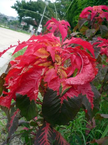 2010.8.19
