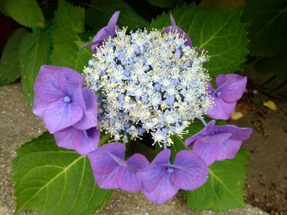 2012.6.20