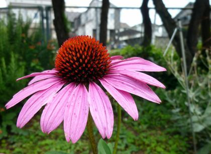 2012.8.7