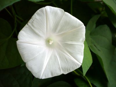 2010.9.8