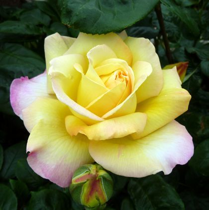 2012.6.3