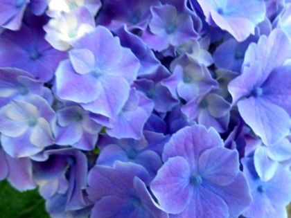 2011.7.1