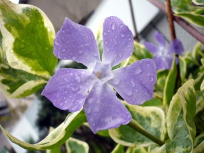 2010.9.11