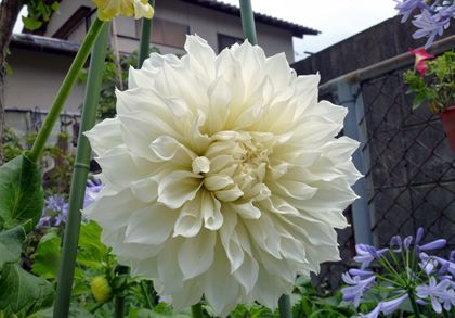 2012.8.27