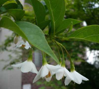 2008.8.14