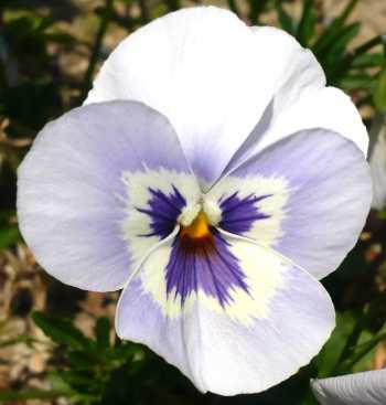 2007.7.23