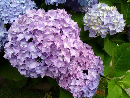 2011.6.5