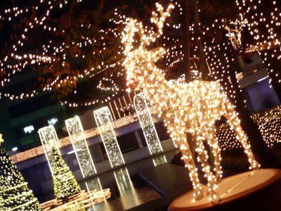 2010.12.9.イルミネーション