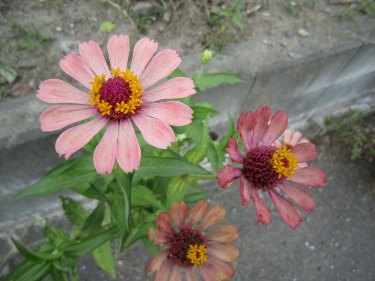 2012.8.19