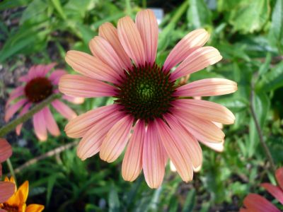 2010.8.21