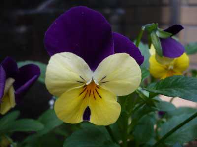 2008.1.18
