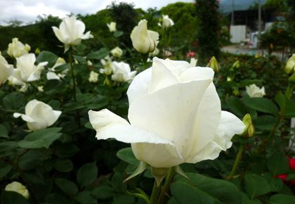 2012.5.28