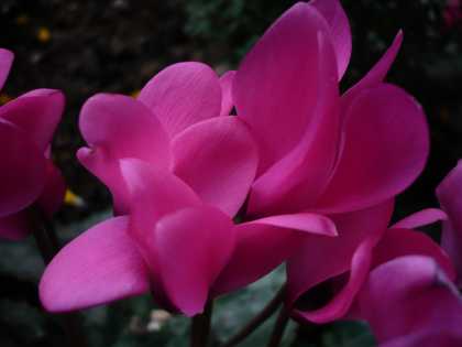 2008.7.22