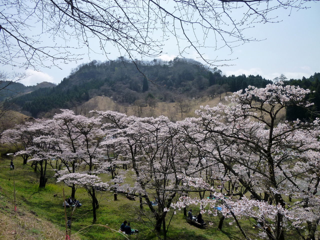 2011.4.15