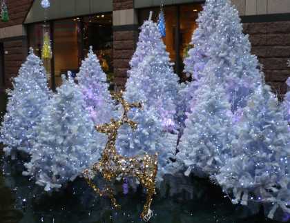 2007.12.12