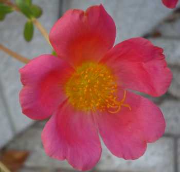 2007.12.30