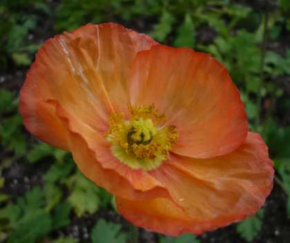 2008.2.2