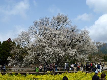 2011.4.14