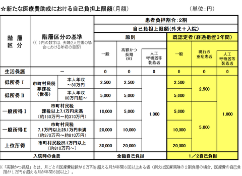医療費自己負担額上限