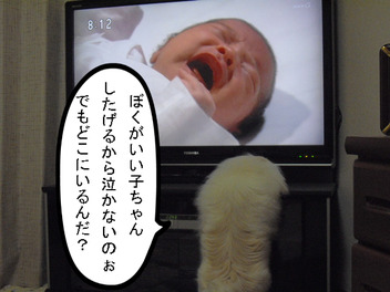BlogPaint