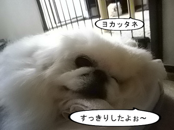 BlogPaint