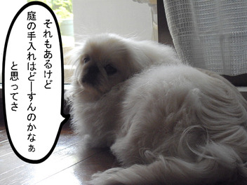 BlogPaint