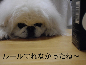 BlogPaint