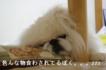 BlogPaint