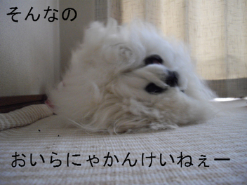 BlogPaint