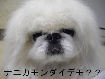 BlogPaint