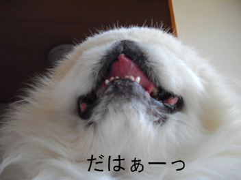 BlogPaint