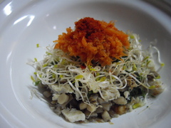 IMGP9201