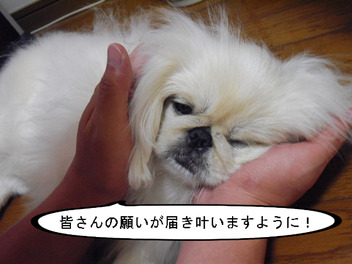 BlogPaint