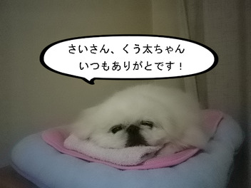 BlogPaint